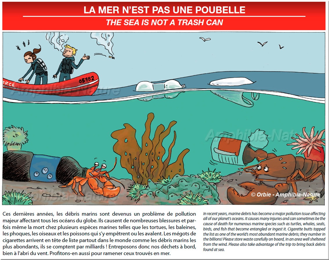 Ces dernières années, les débris marins sont devenus un problème de pollution majeur affectant tous les océans du globe. Ils causent de nombreuses blessures et parfois même la mort chez plusieurs espèces marines telles que les tortues, les baleines, les phoques, les oiseaux et les poissons qui s'y empêtrent ou les avalent. Les mégots de cigarettes arrivent en tête de liste partout dans le monde comme les débris marins les plus abondants, ils se comptent par milliards ! Entreposons donc nos déchets à bord, bien à l'abri du vent. Profitons-en aussi pour ramener ceux trouvés en mer. In recent years, marine debris has become a major pollution issue affecting all of our planet's oceans. It causes many injuries and can sometimes be the cause of death for numerous marine species such as turtles, whales, seals, birds, and fish that become entangled or ingest it. Cigarette butts topped the list as one of the world's most abundant marine debris; they number in the billions! Please store waste carefully on board, in an area well sheltered from the wind. Please also take advantage of the trip to bring back debris found at sea.