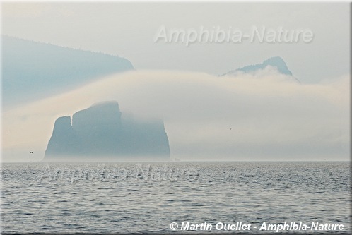 rocher Percé et l'Obélisque