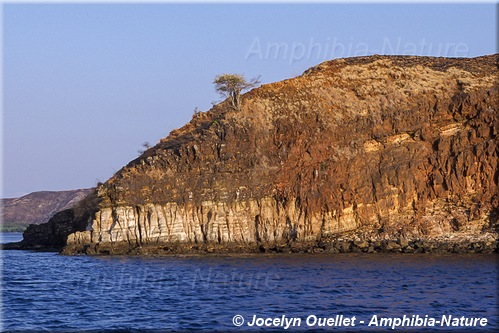 la côte de l'ile de Komodo