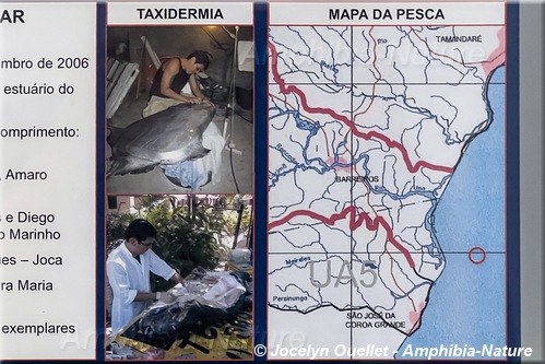 Museu do Una - photo taxidermie et carte de localisation