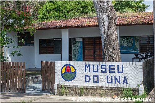 museu-do-una.jpg