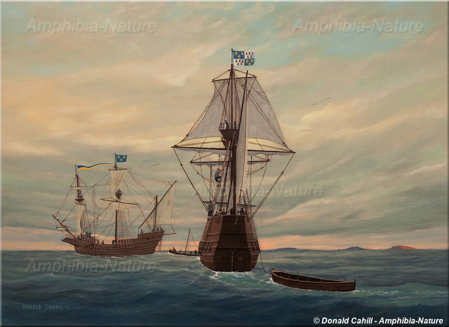 peinture - la baie des Chaleurs