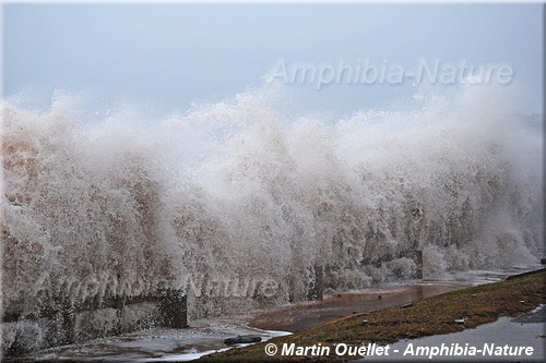 promenade de Percé durant une grande marée
