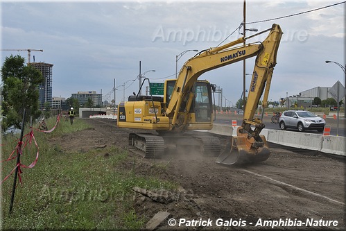 Surveillance de travaux d'excavation