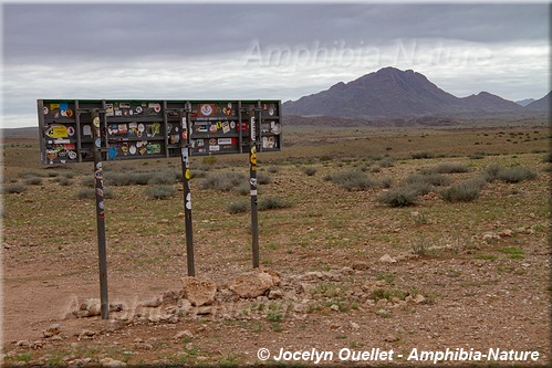 panneau 10 - Namibie