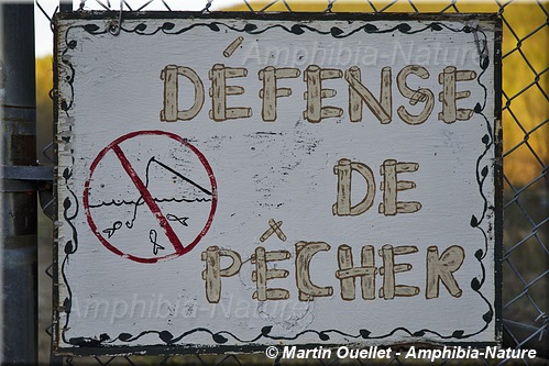 panneau 2 - Québec, Canada