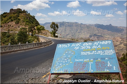 panneau 6 - Éthiopie