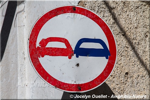 panneau 12 - Éthiopie