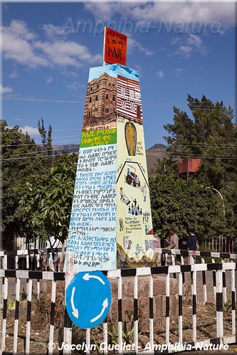 panneau 41 - carrefour giratoire