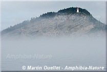 Phare de Cap Gaspé - Gaspé
